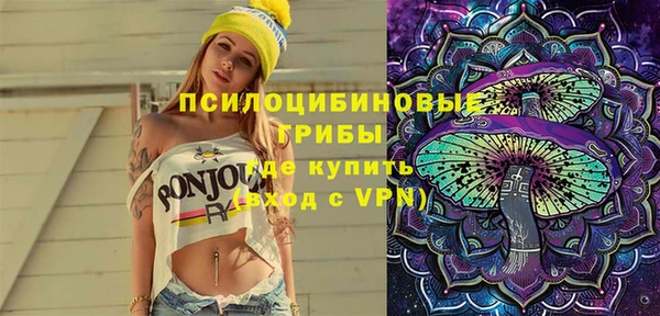 ПСИЛОЦИБИНОВЫЕ ГРИБЫ Анива