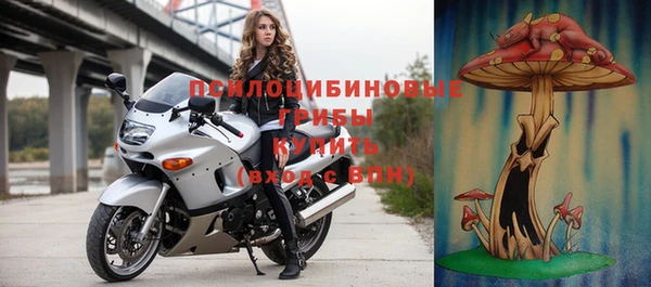 мяу мяу кристалл Няндома