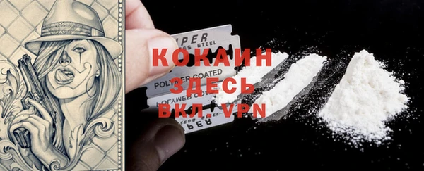 мяу мяу кристалл Няндома