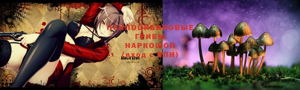 ПСИЛОЦИБИНОВЫЕ ГРИБЫ Анива
